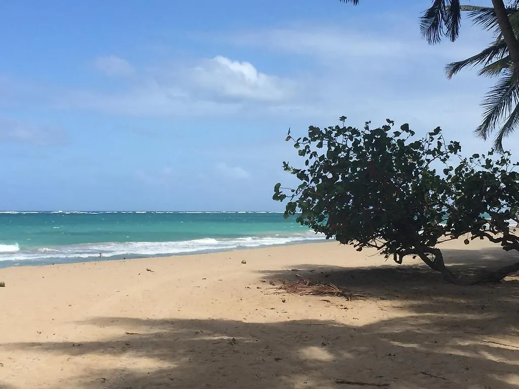 Kingsville Condado Studio Apartment contacts
